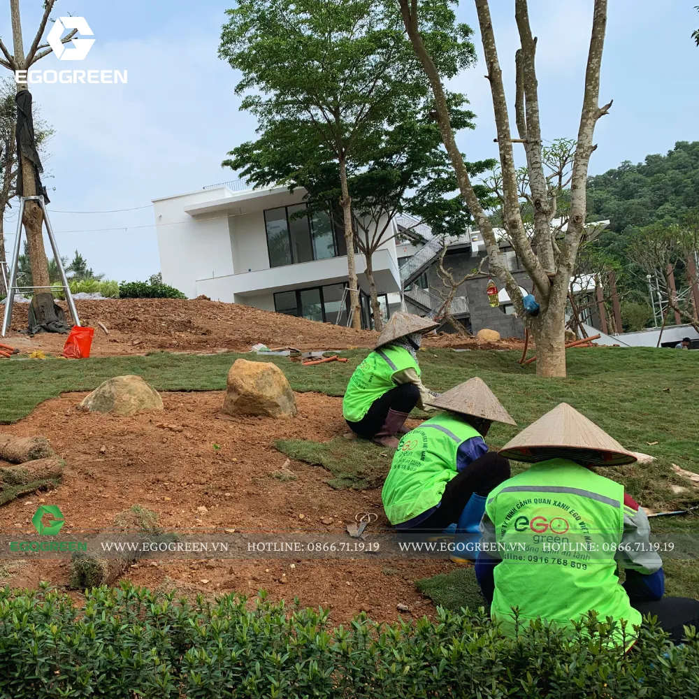 Thảm cỏ mềm mại được trồng bao phủ cả khu vườn khiến không gian thêm xanh mát, nhẹ nhàng.